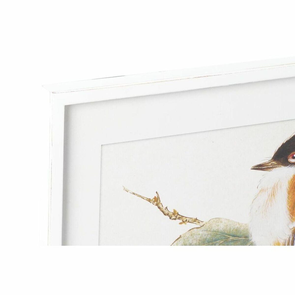 Cuadro DKD Home Decor 60 x 2,5 x 60 cm Pájaro Shabby Chic (4 Piezas)