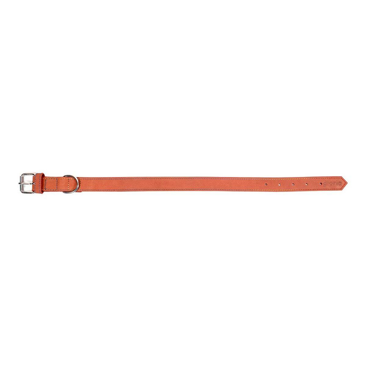 Collar para Perro Gloria Oasis Rojo (50 x 2,1 cm)