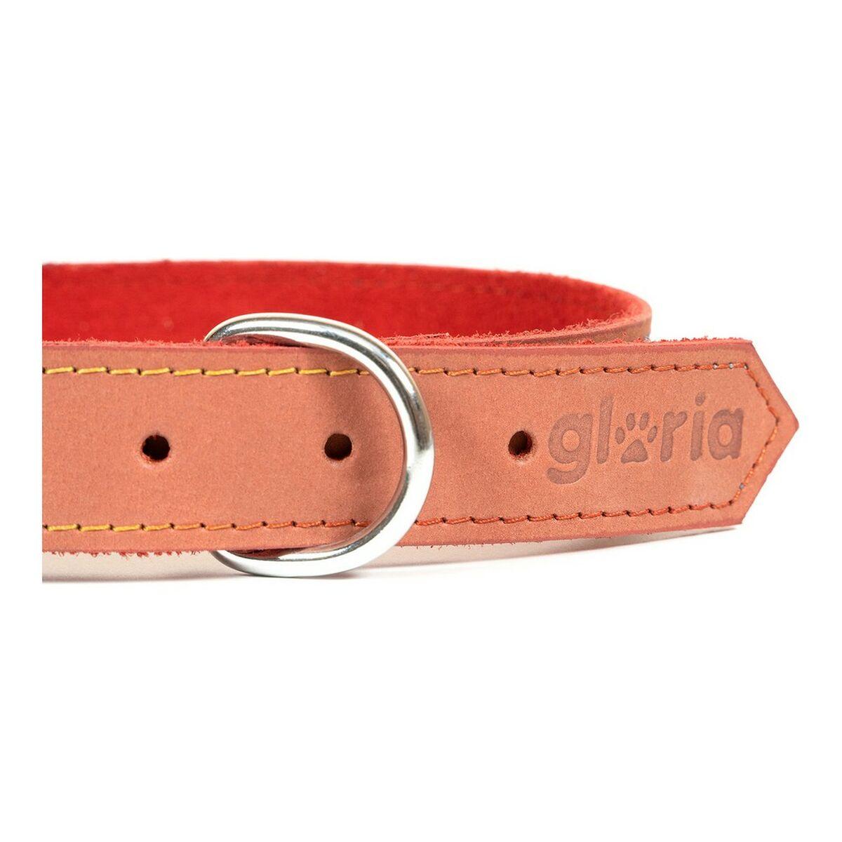 Collar para Perro Gloria Oasis Rojo (50 x 2,1 cm)