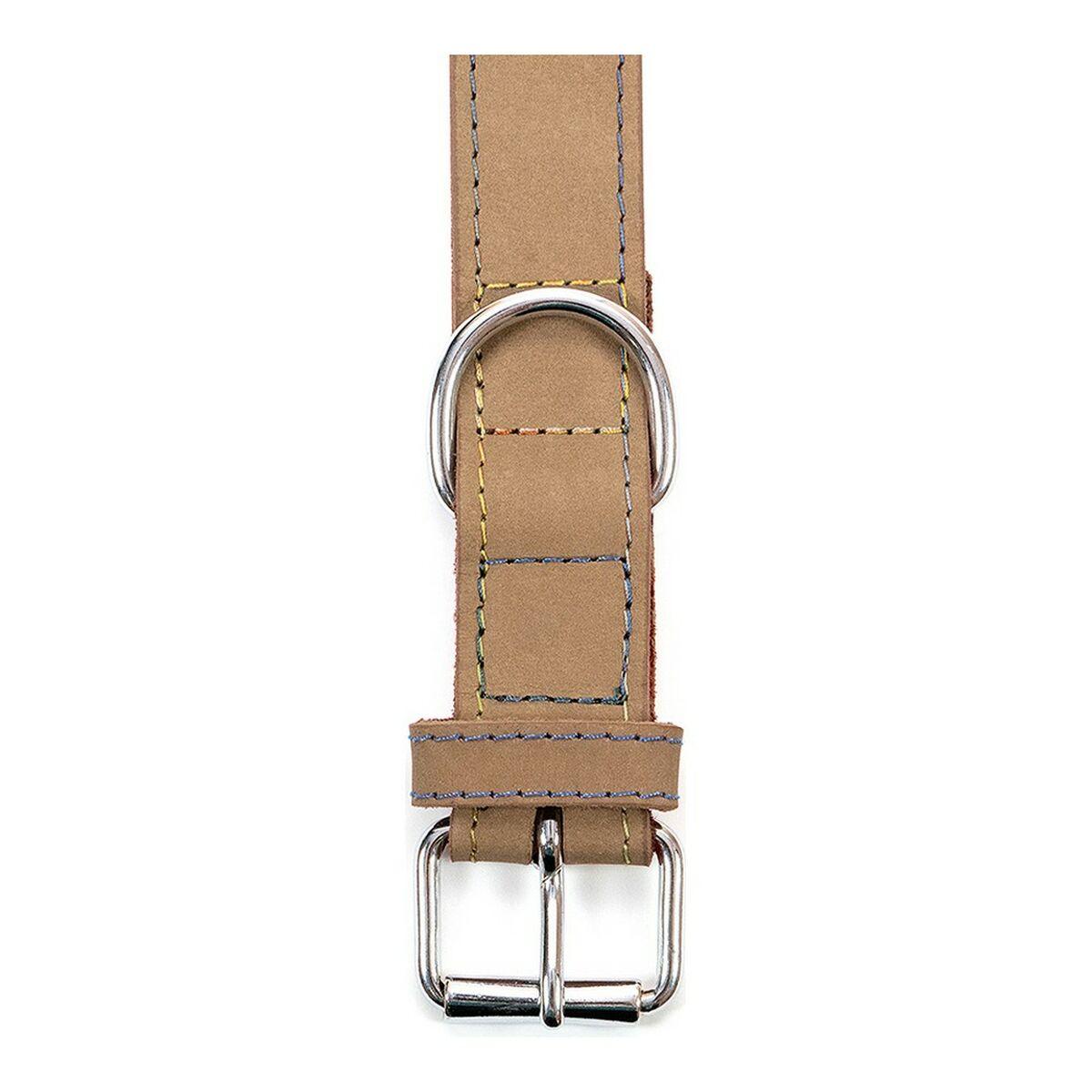 Collar para Perro Gloria Oasis Blanco (55 x 2,5 cm)