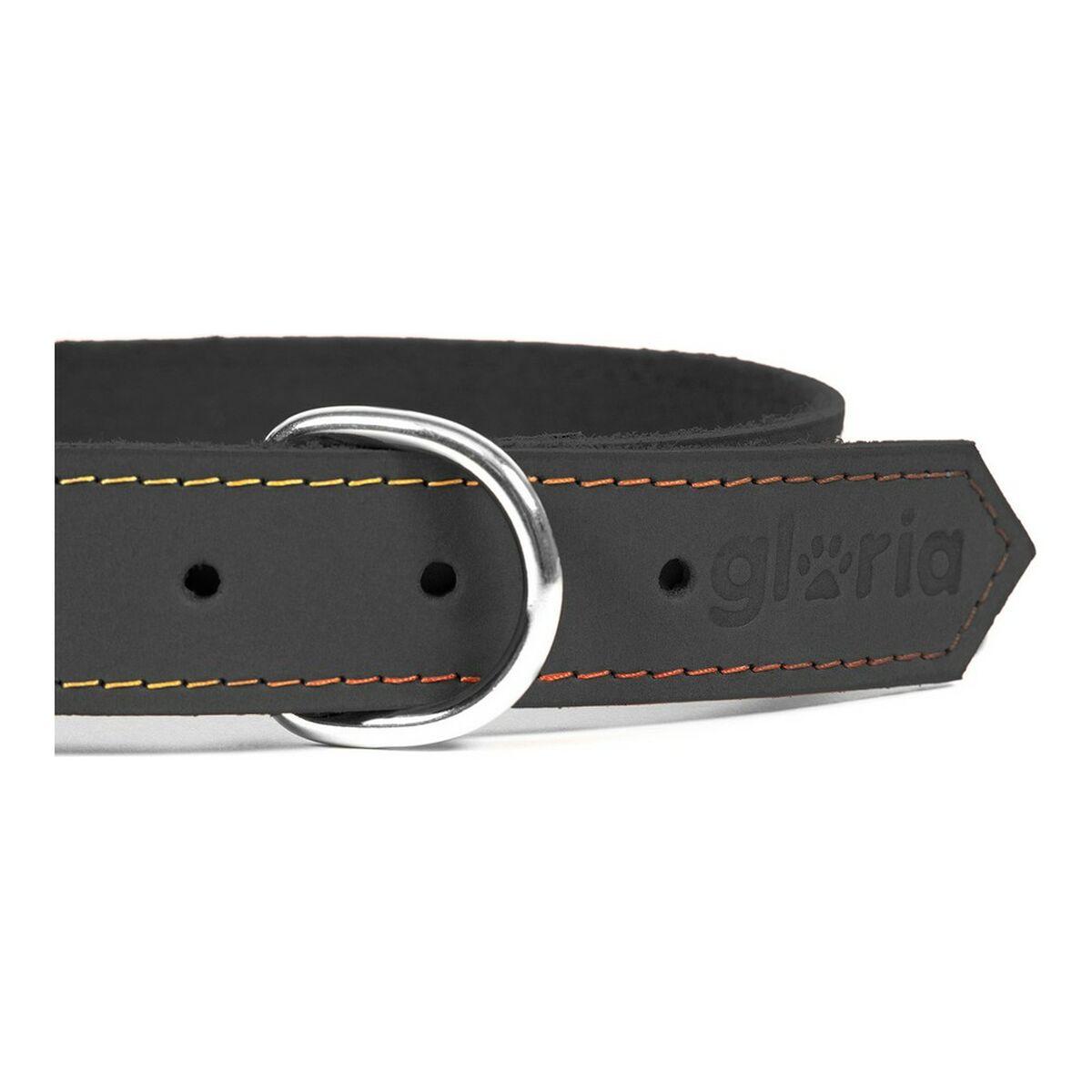Collar para Perro Gloria Oasis Negro (70 x 3 cm)