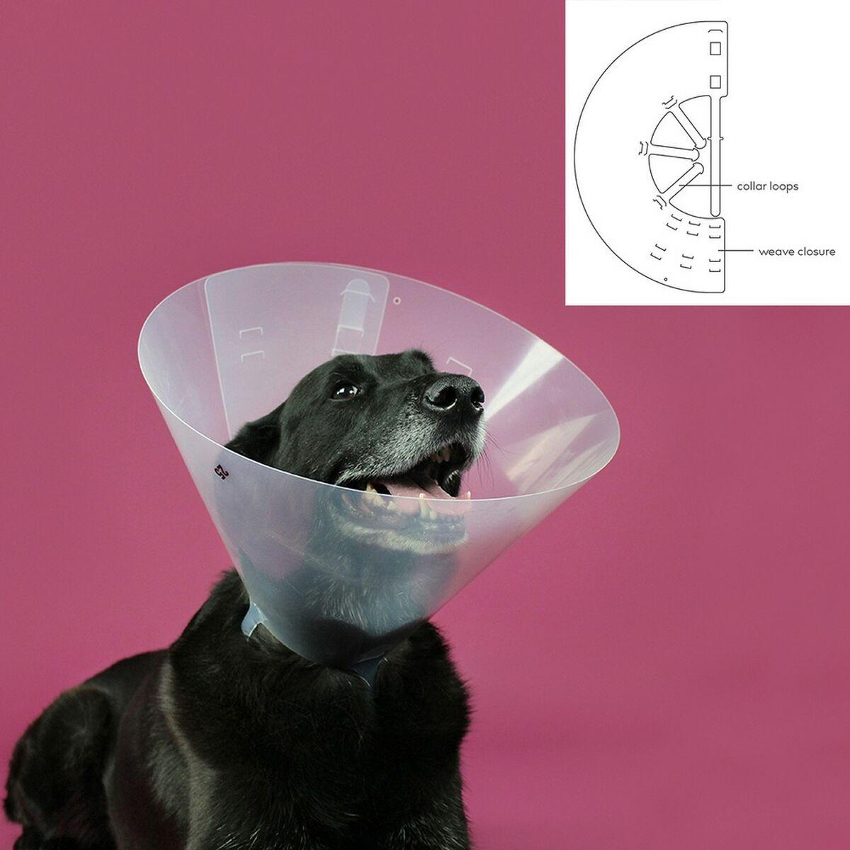 Collar Isabelino para Perros KVP Betsy Transparente (33-41 cm)