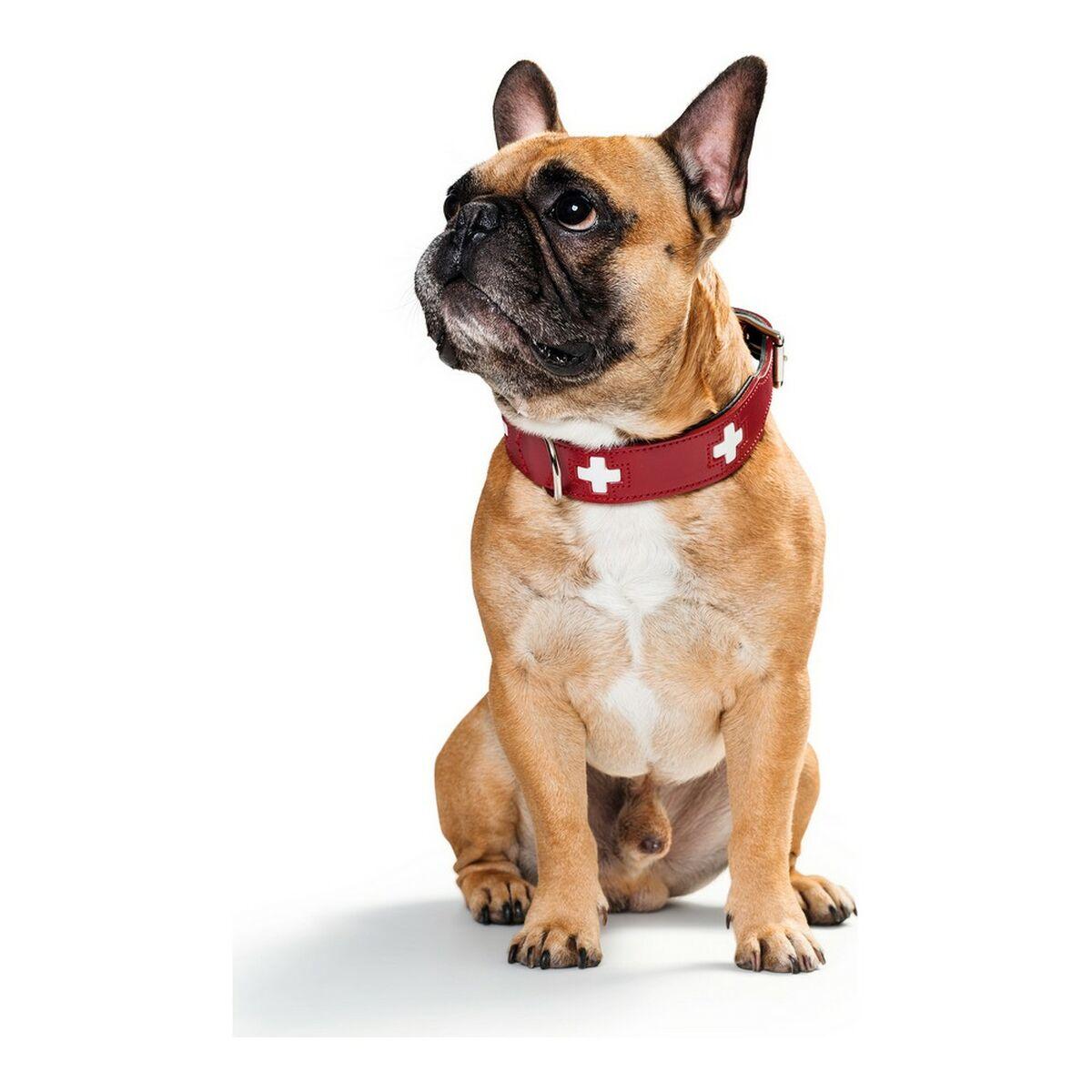 Collar para Perro Hunter Swiss Rojo/Negro (41-49 cm)