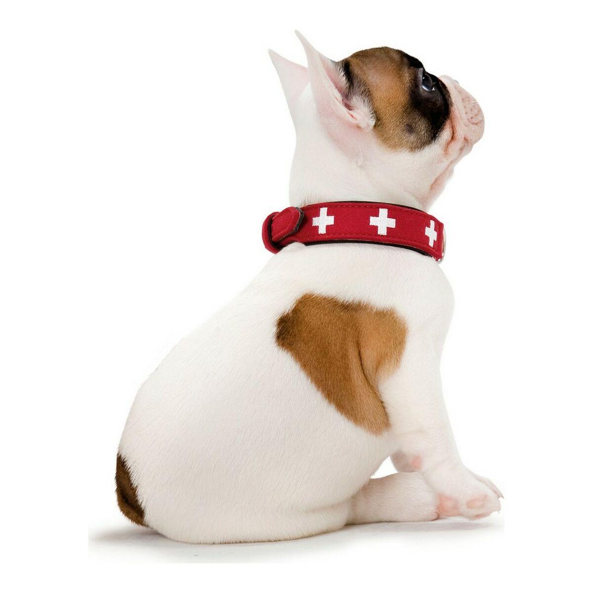 Collar para Perro Hunter Swiss Rojo/Negro (41-49 cm)