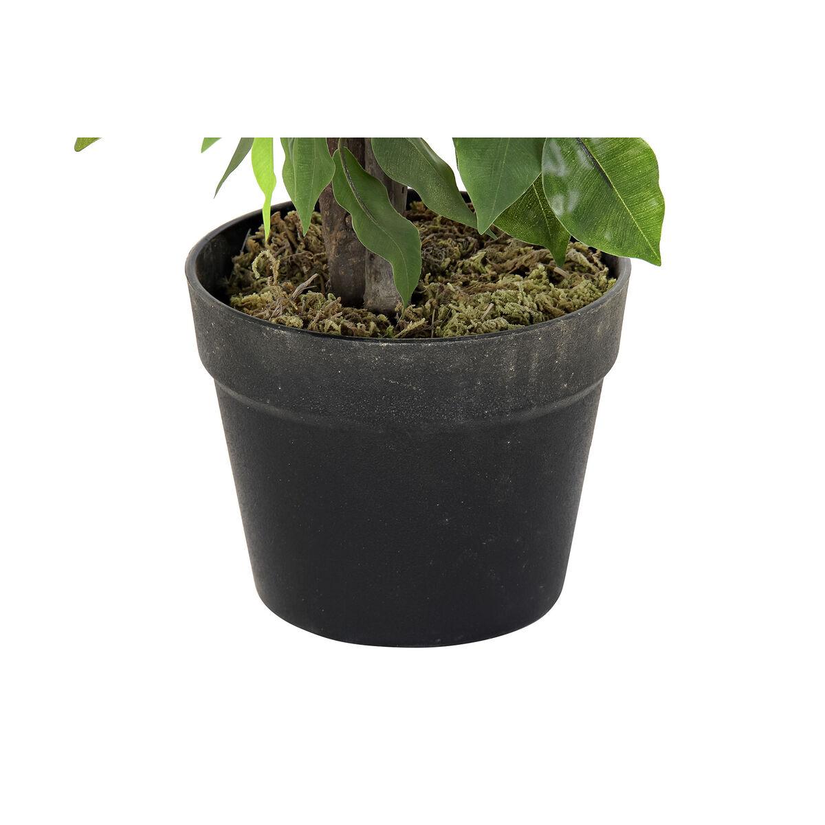 Planta Decorativa DKD Home Decor 50 x 50 x 90 cm Metal Polietileno Verde 30 x 40 cm Ficus Urbano