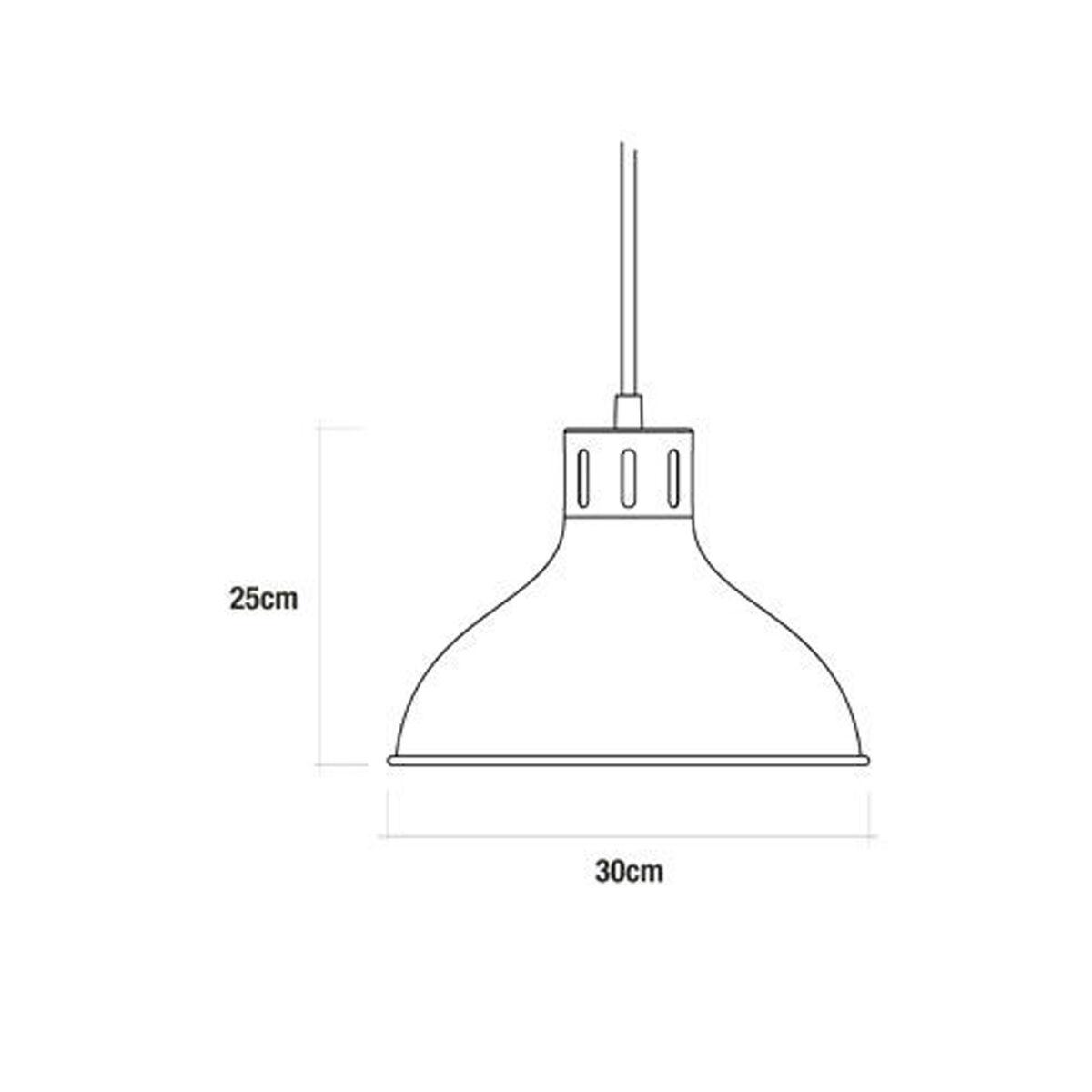 Lámpara de Techo EDM 32111 Lámpara de Techo Metal 60 W (30 x 25 cm)