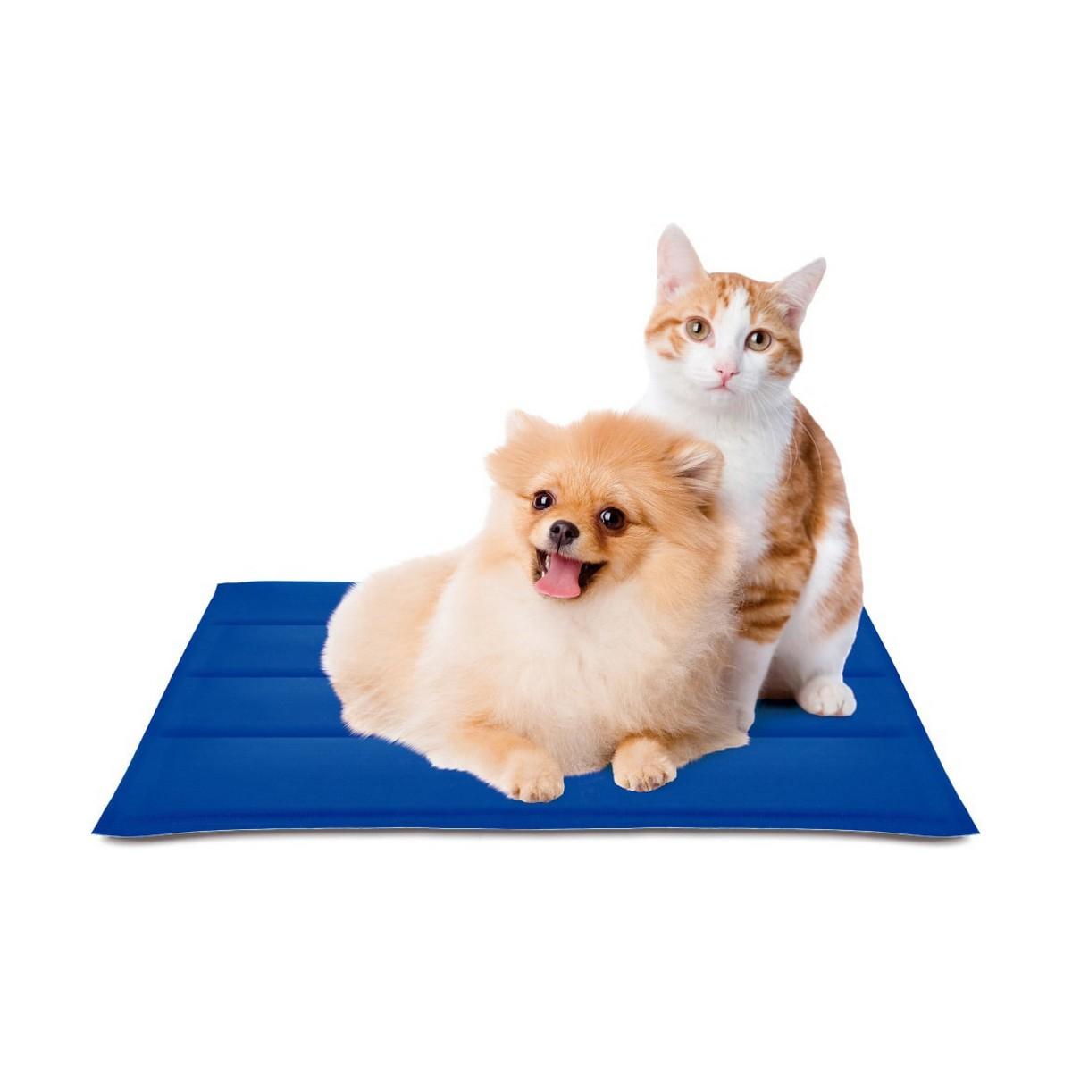 Alfombra para perros Nayeco Cool mat Azul Gel refrigerante (50 x 40 cm)