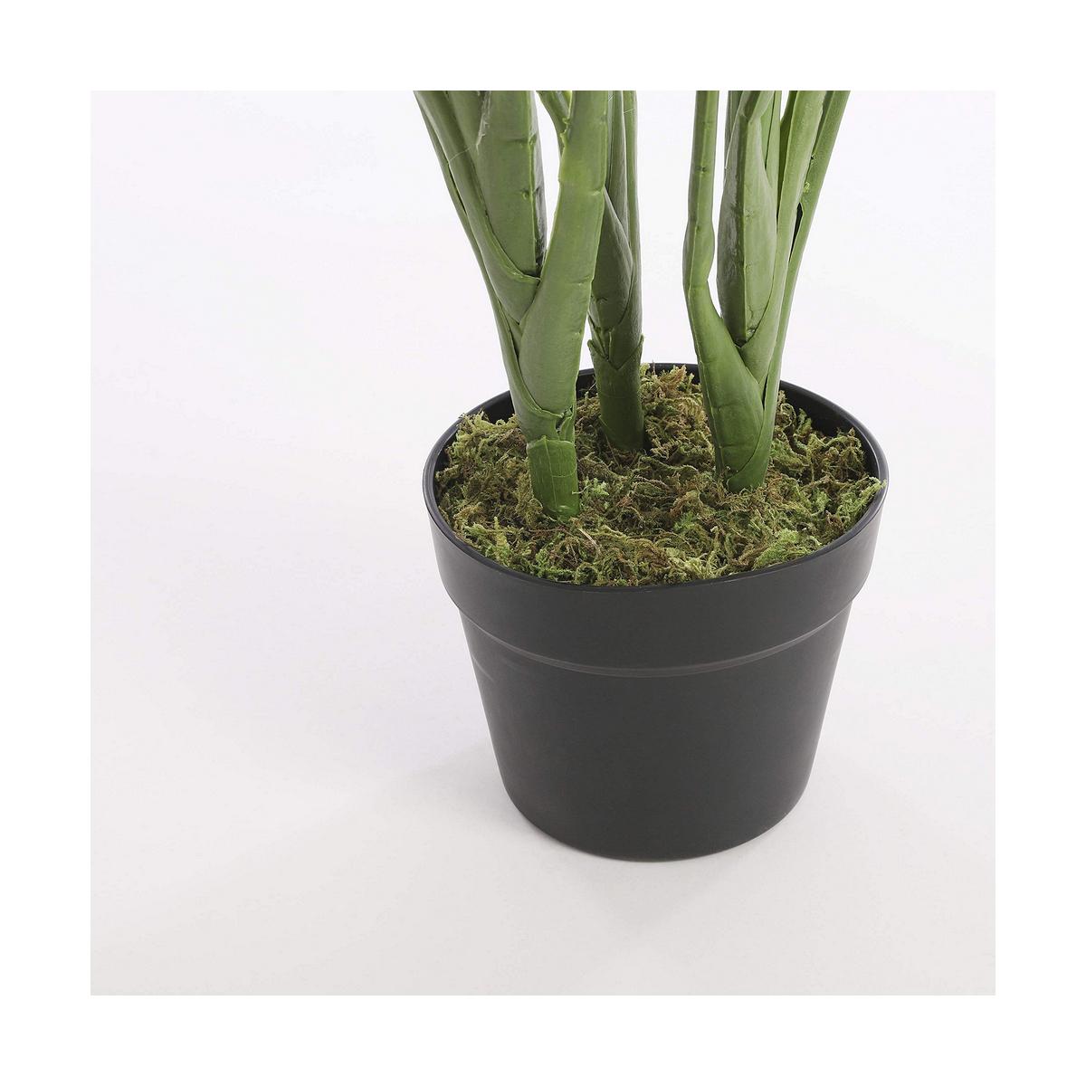 Planta Decorativa Mica Decorations Ave del paraíso 60 x 110 cm Poliuretano