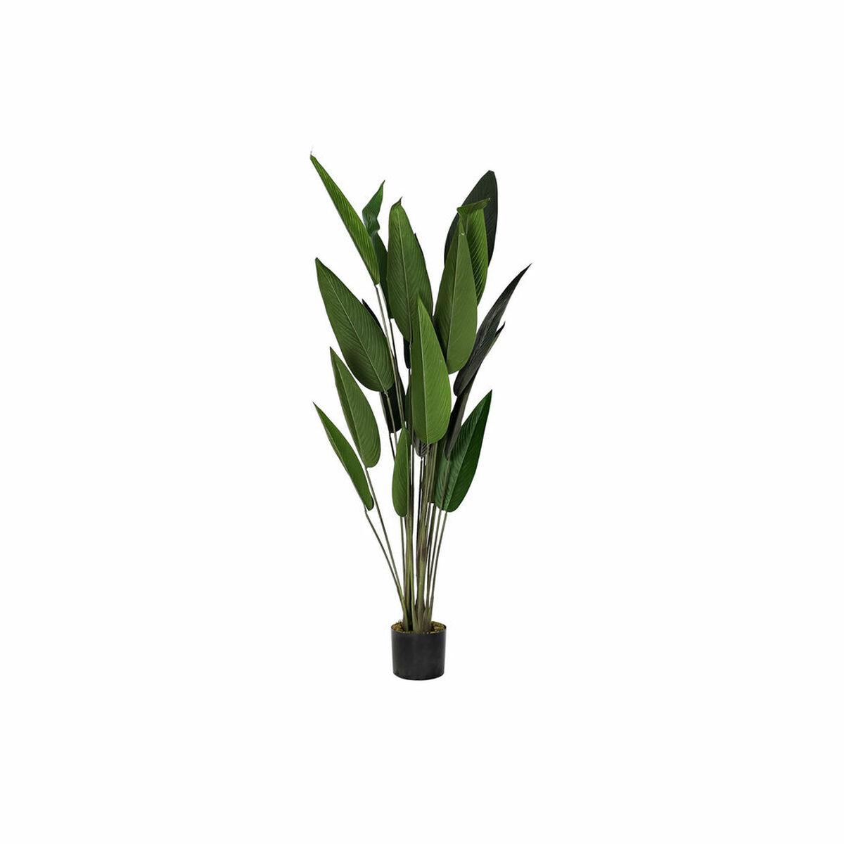 Planta Decorativa DKD Home Decor 50 x 50 x 160 cm Polietileno Verde Ave del paraíso Urbano