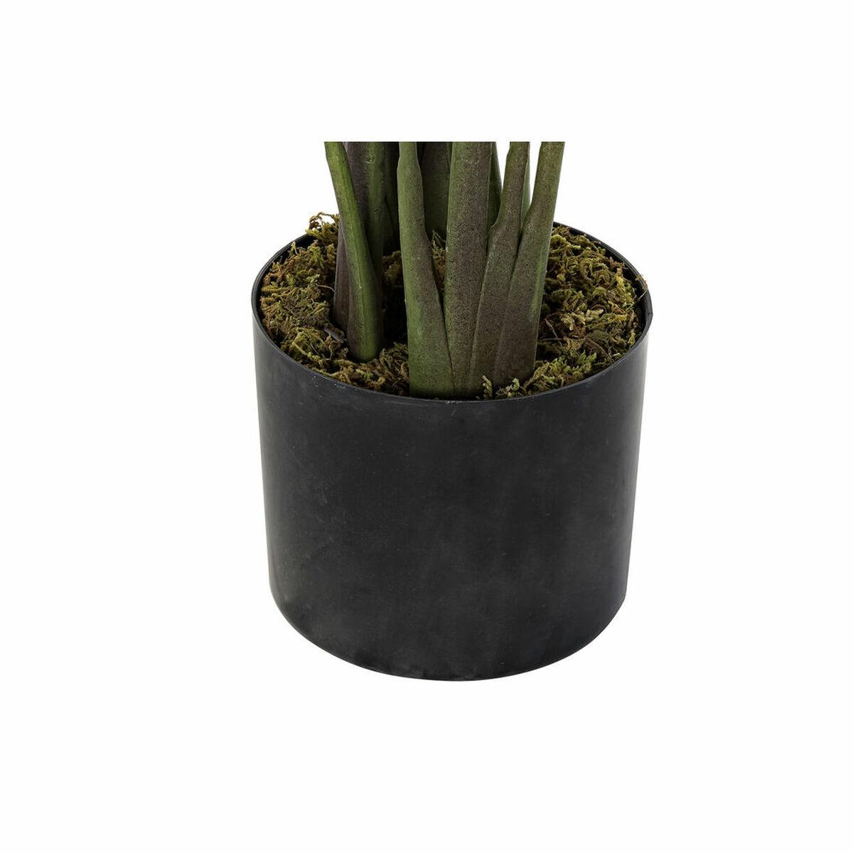 Planta Decorativa DKD Home Decor 50 x 50 x 160 cm Polietileno Verde Ave del paraíso Urbano