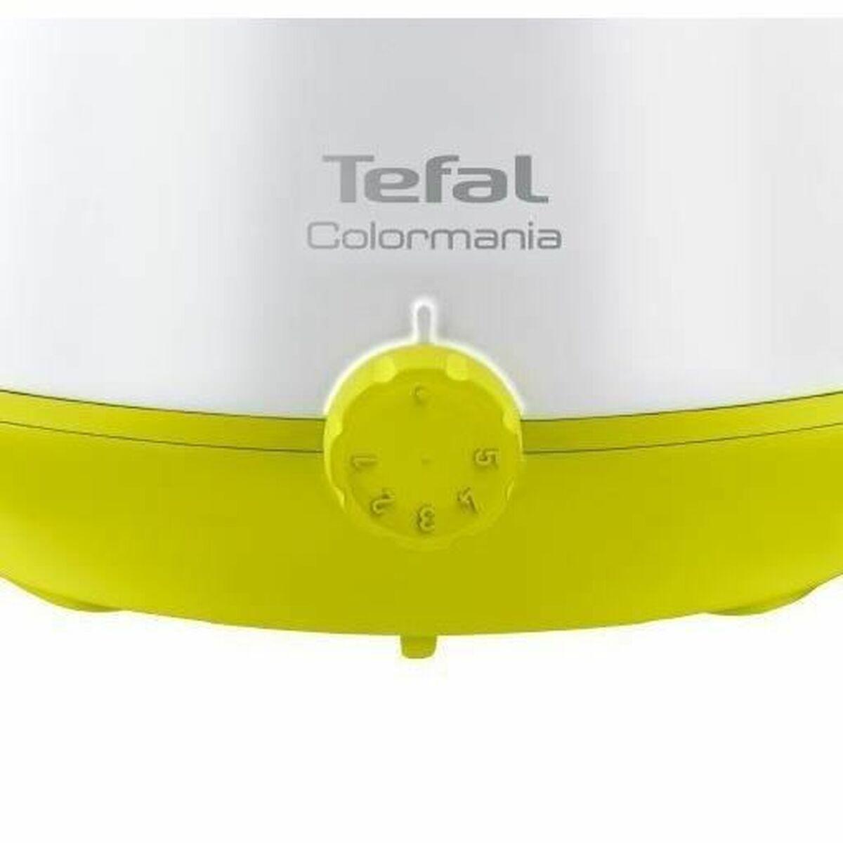 Fondue de Acero Inoxidable Tefal EF260312 800 W