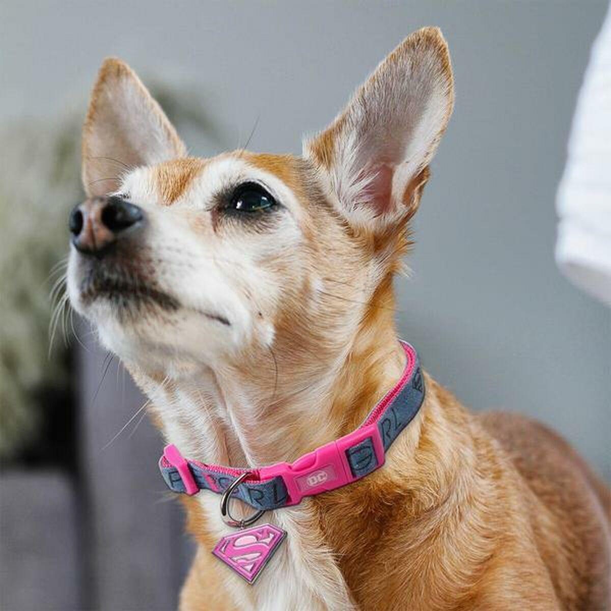 Collar para Perro Superman Rosa M/L