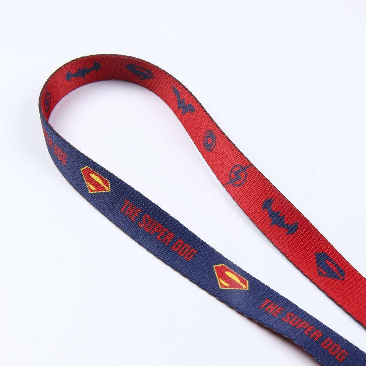 Correa para Perro DC Pets Azul S