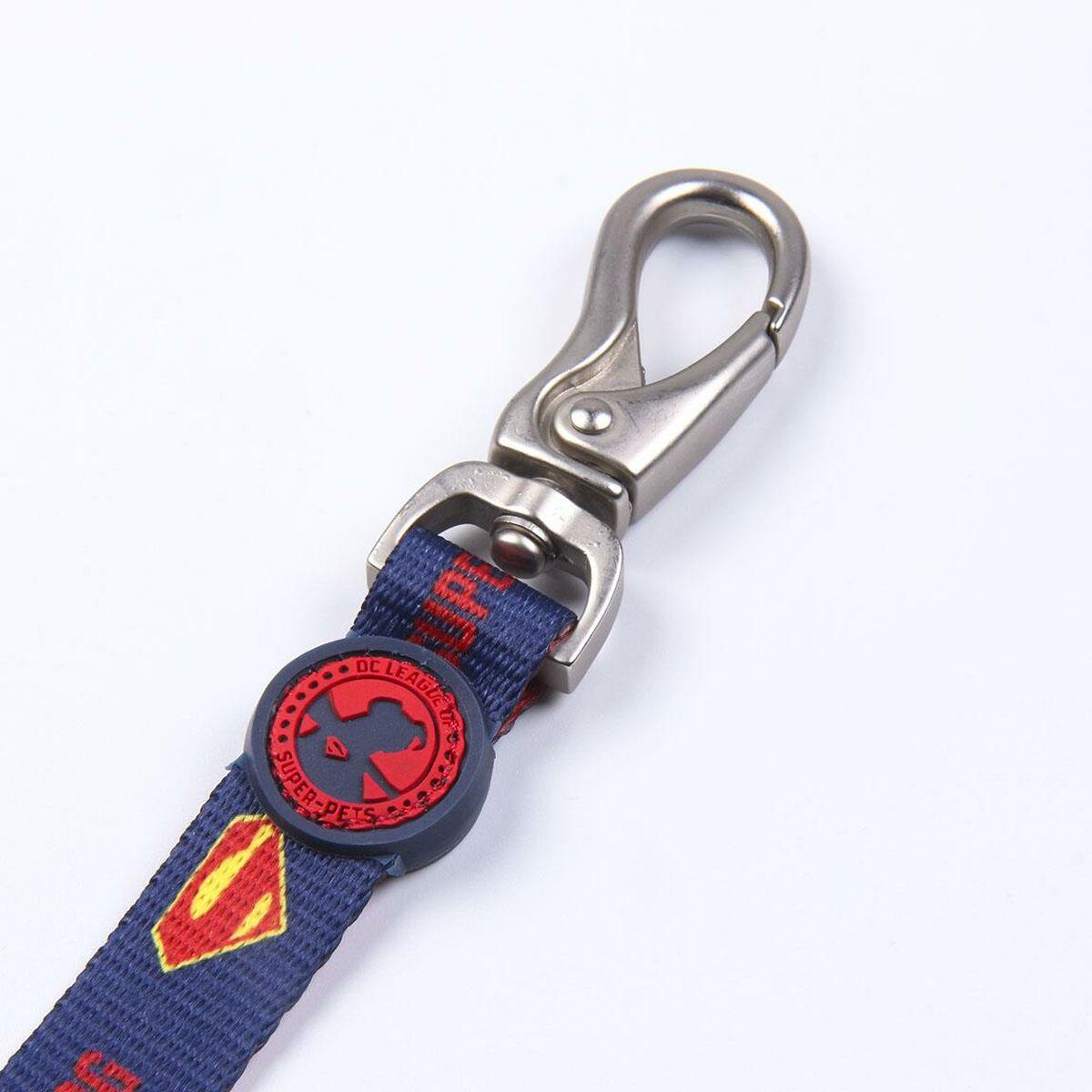 Correa para Perro DC Pets Azul S