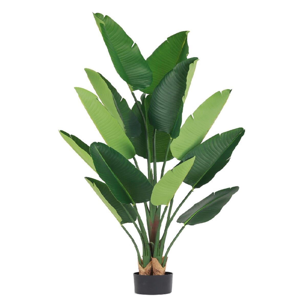 Planta Decorativa 80 x 75 x 180 cm Verde Ave del paraíso