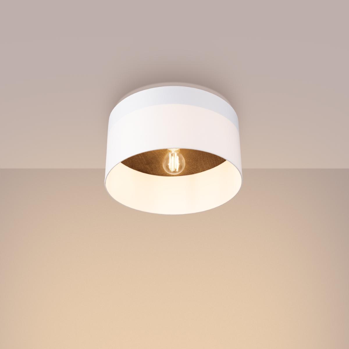 Sollux Lámpara de techo TELESTO blanco/marrón oscuro 