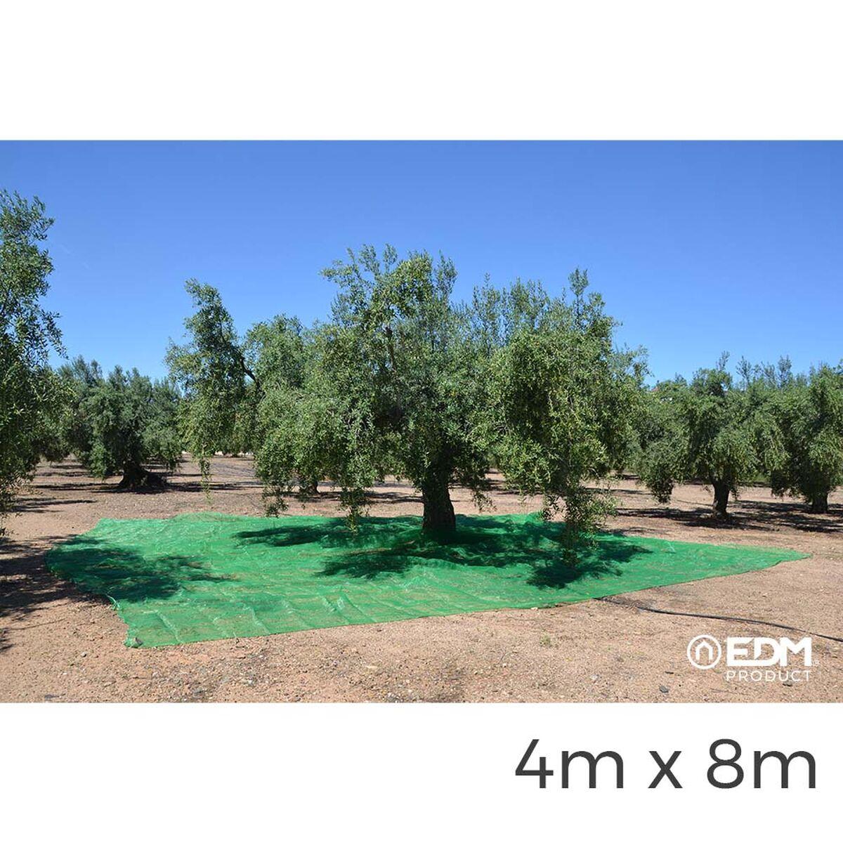 Malla EDM Recogedor de frutas Verde Polipropileno 4 x 8 m