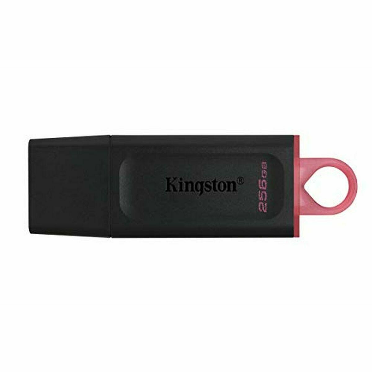 Memoria USB Kingston DataTraveler Exodia Rosa Negro 256 GB