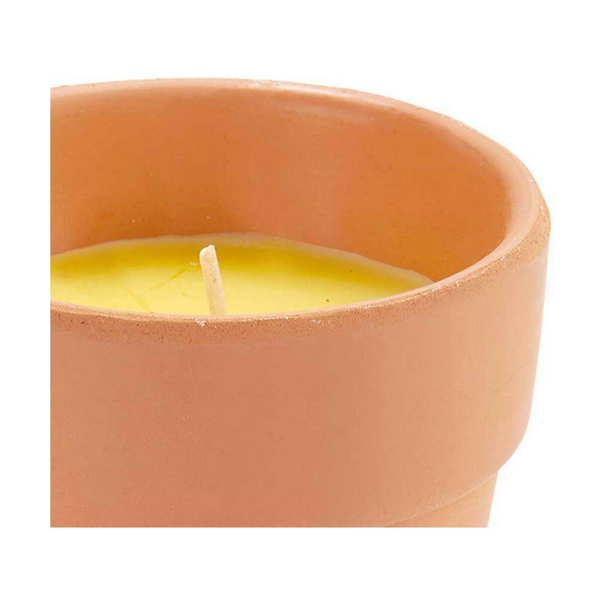 Vela Ibergarden HL-WG80C Citronela (12 Unidades)