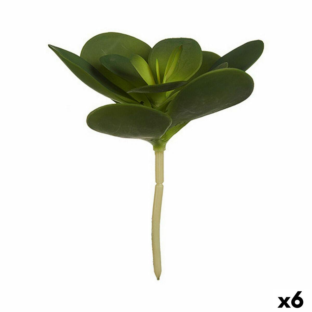 Planta Decorativa Ibergarden YD180205 Plástico Hojas Redonda 18 x 23 x 18 cm (6 Unidades)
