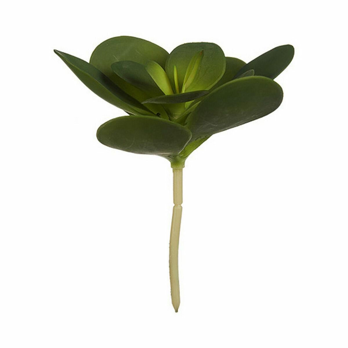 Planta Decorativa Ibergarden YD180205 Plástico Hojas Redonda 18 x 23 x 18 cm (6 Unidades)