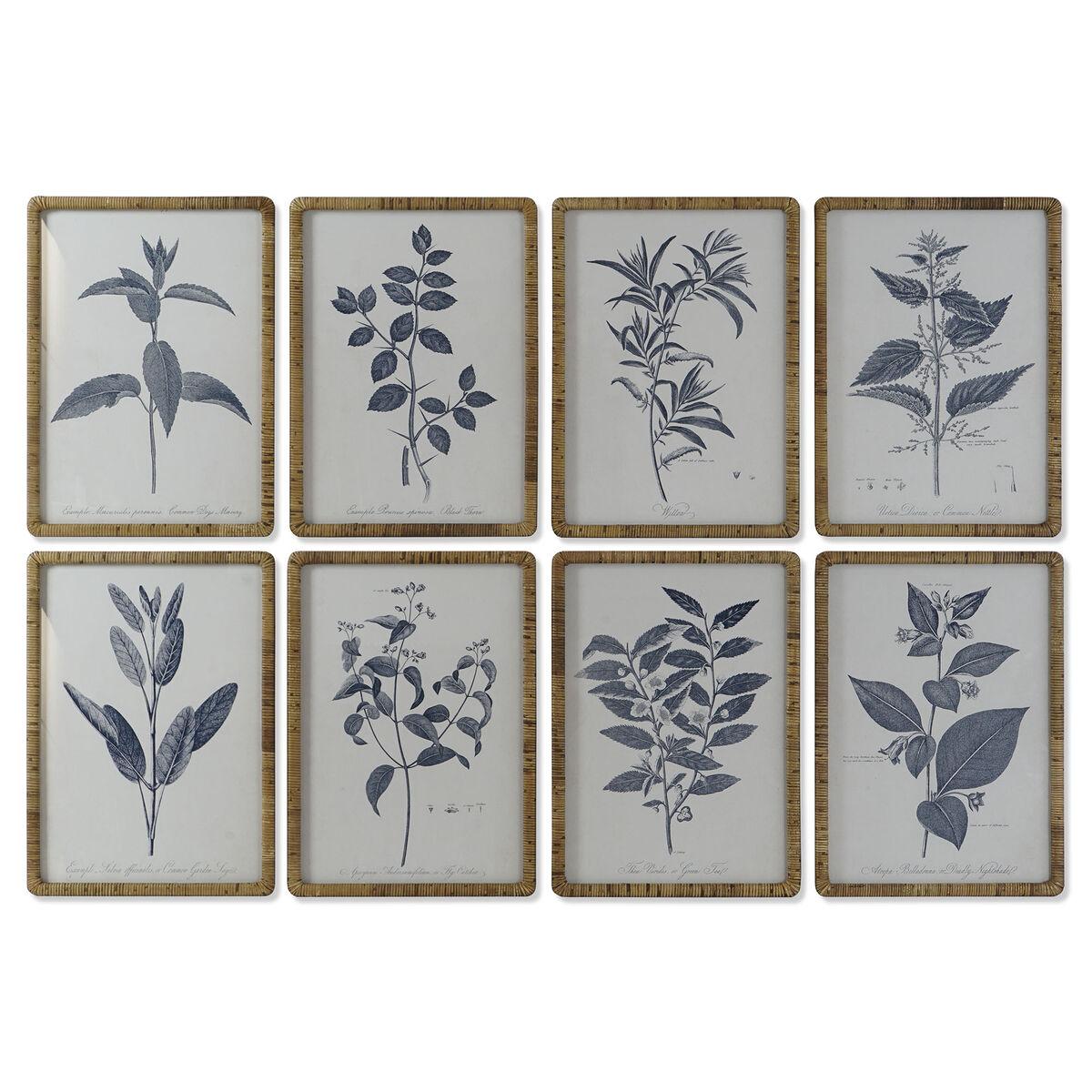 Cuadro DKD Home Decor Moderno Plantas botánicas 50 x 2,5 x 70 cm (8 Unidades)