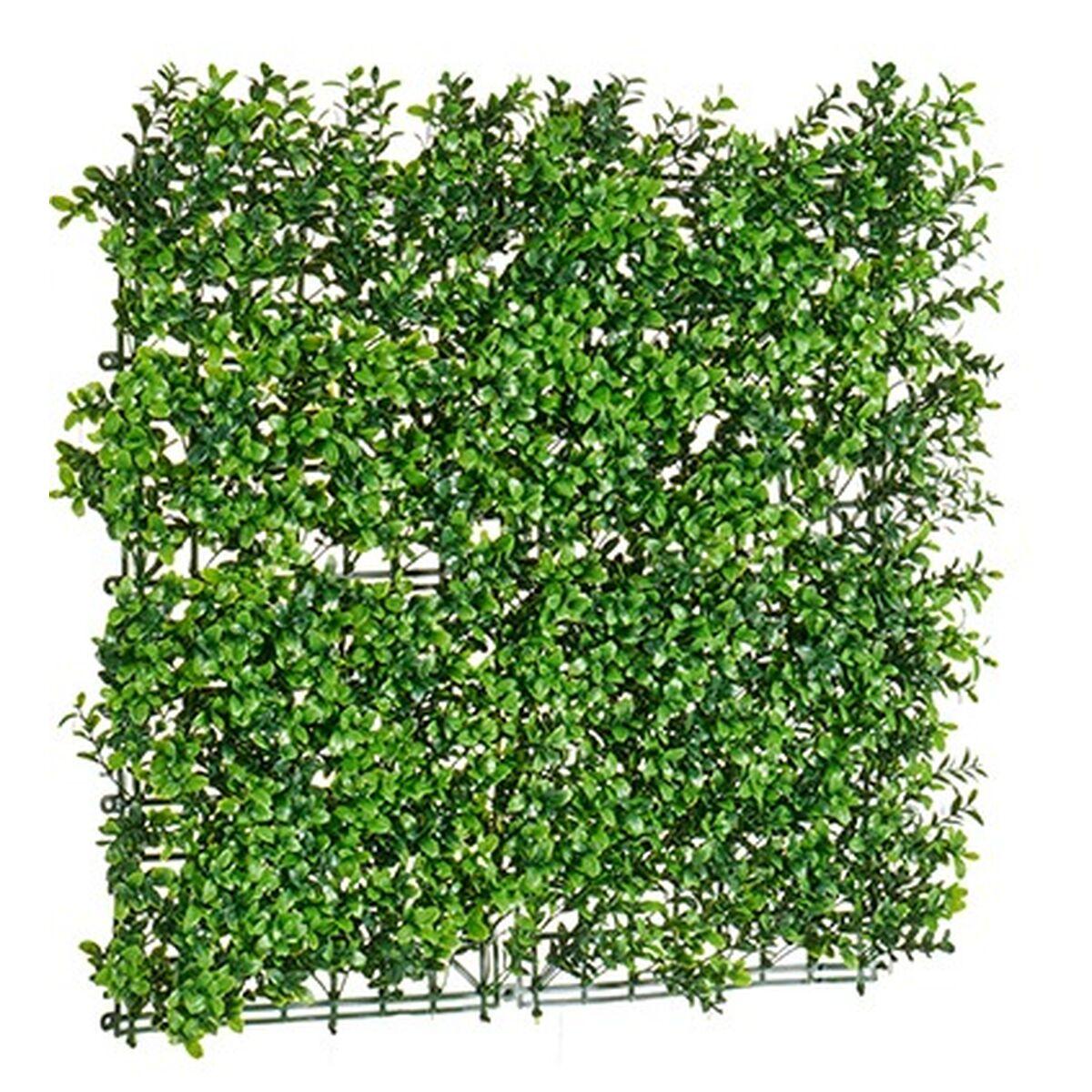 Kit de Jardín Vertical 50 x 5 x 50 cm (12 Unidades)
