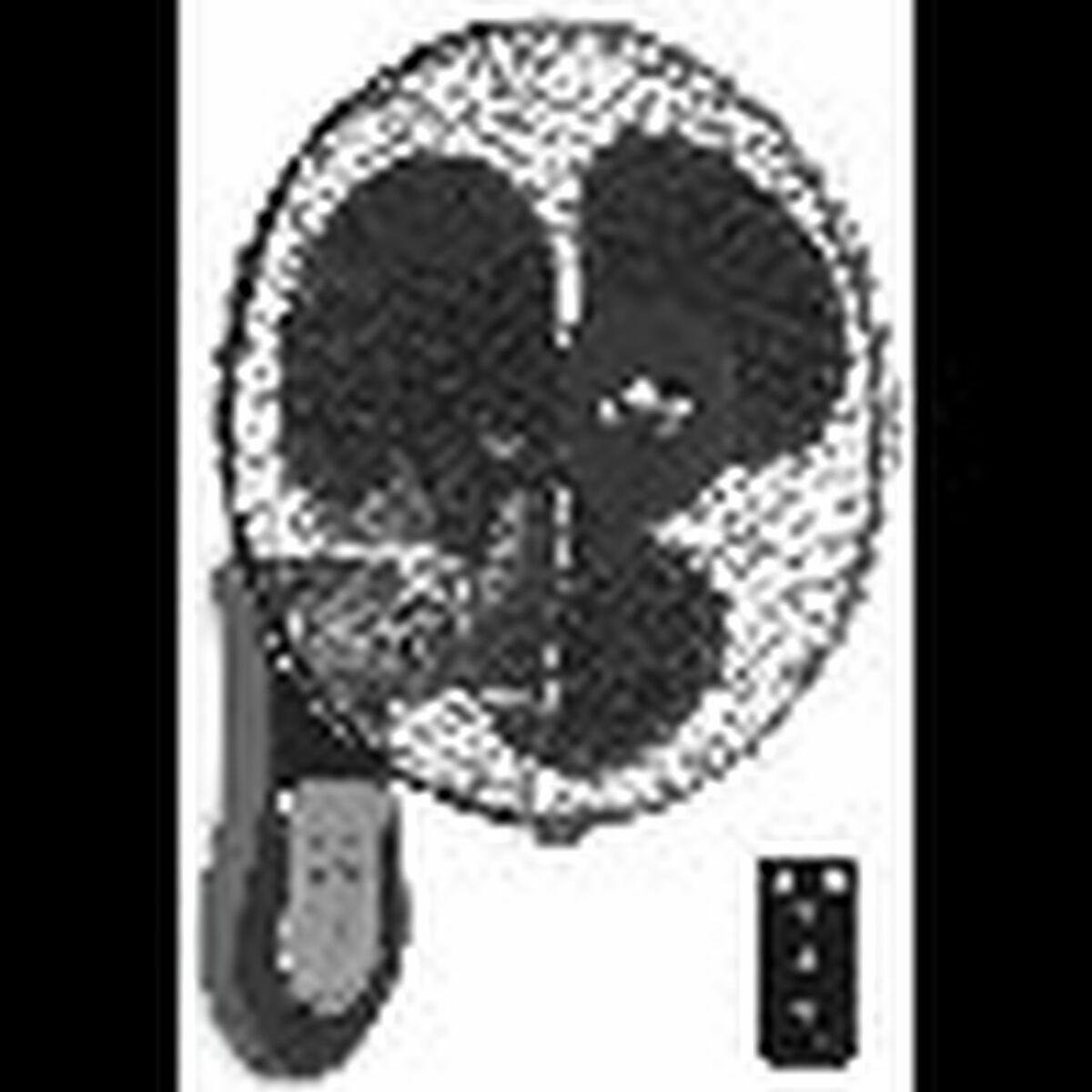 Ventilador de Pie Orbegozo SF0249 Negro Multicolor 60 W