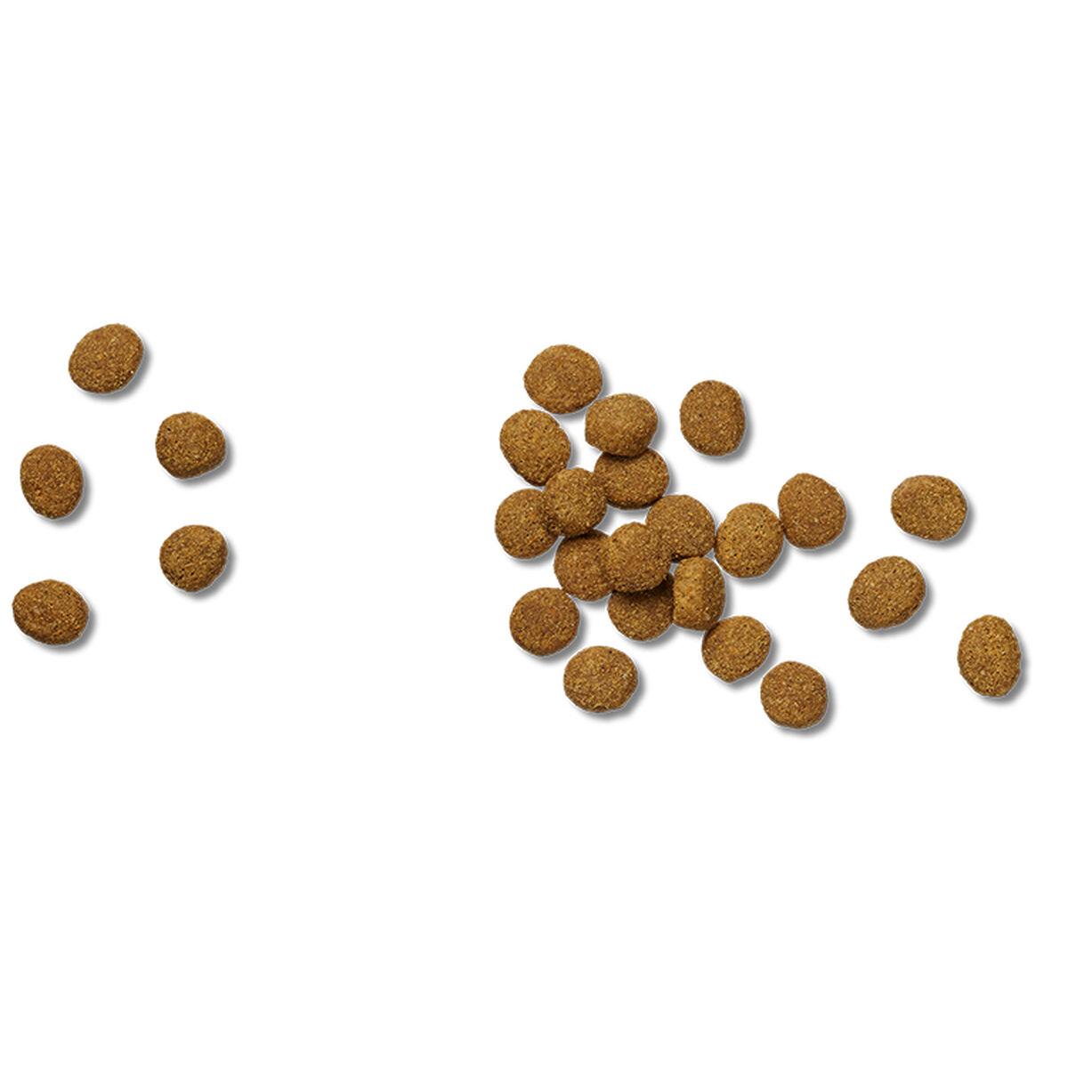 Pienso Purina Pro Plan Veterinary Diets JM Adulto Salmón Pescado 12 kg