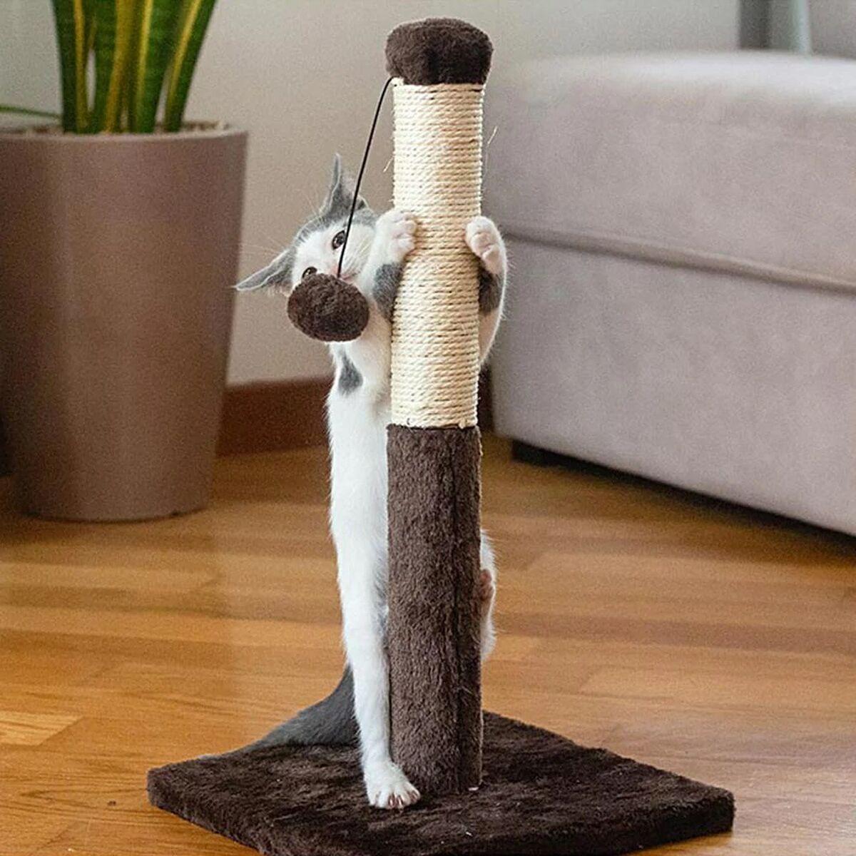 Rascador para Gatos Ferplast                                 Multicolor Bronce 29 x 3 x 29 cm