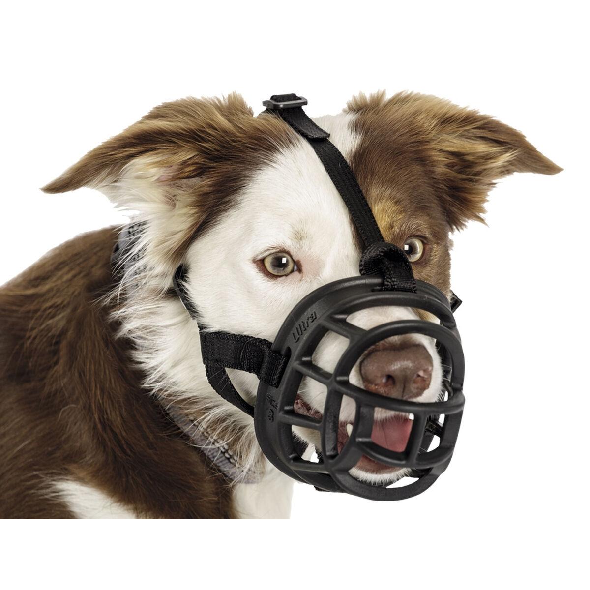 Bozal Company of Animals 75701 Negro 6
