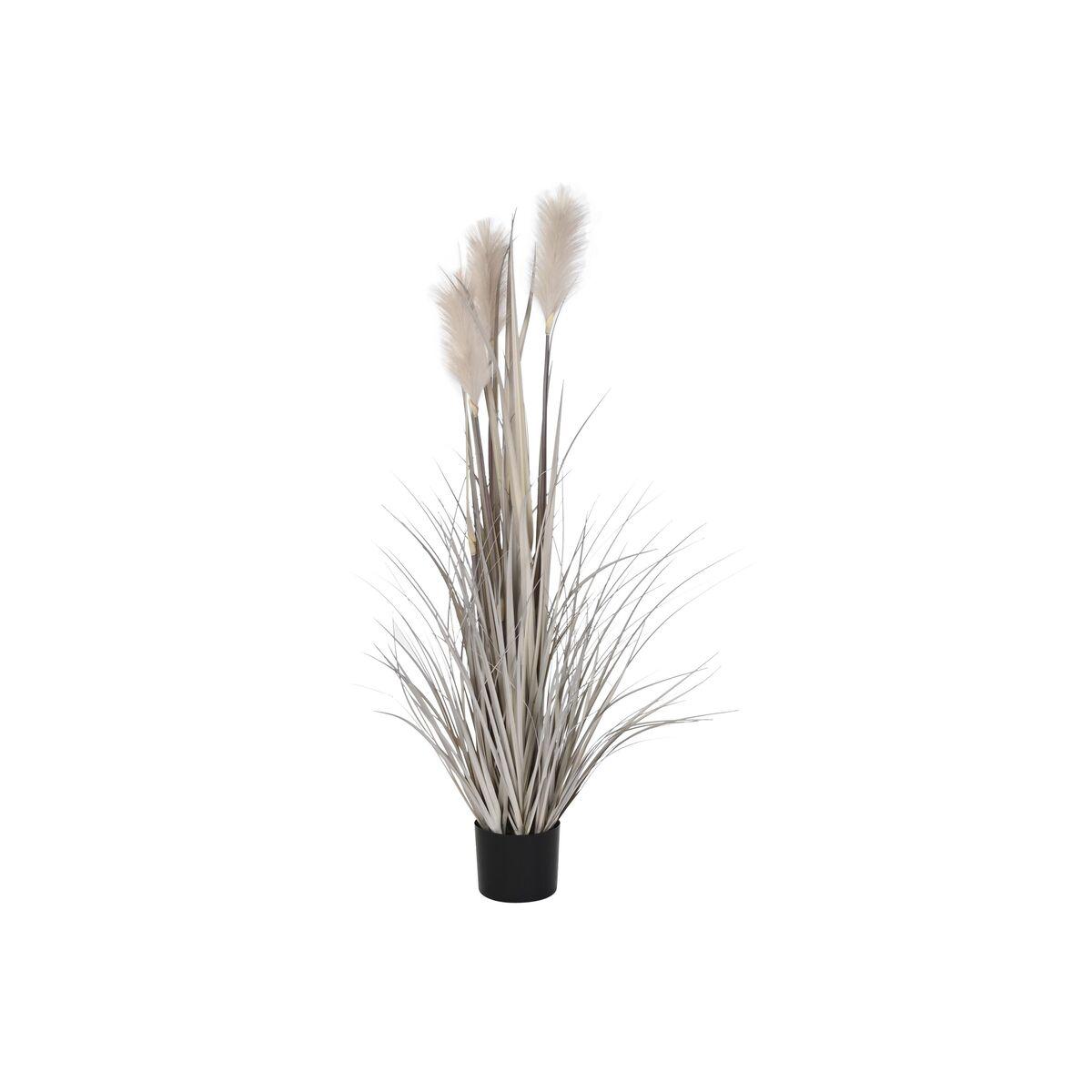 Planta Decorativa DKD Home Decor Plumero (Reacondicionado A)