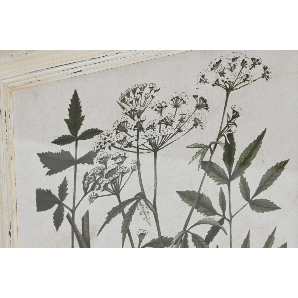 Cuadro Home ESPRIT Shabby Chic Plantas botánicas 40 x 1,5 x 50 cm (6 Unidades)