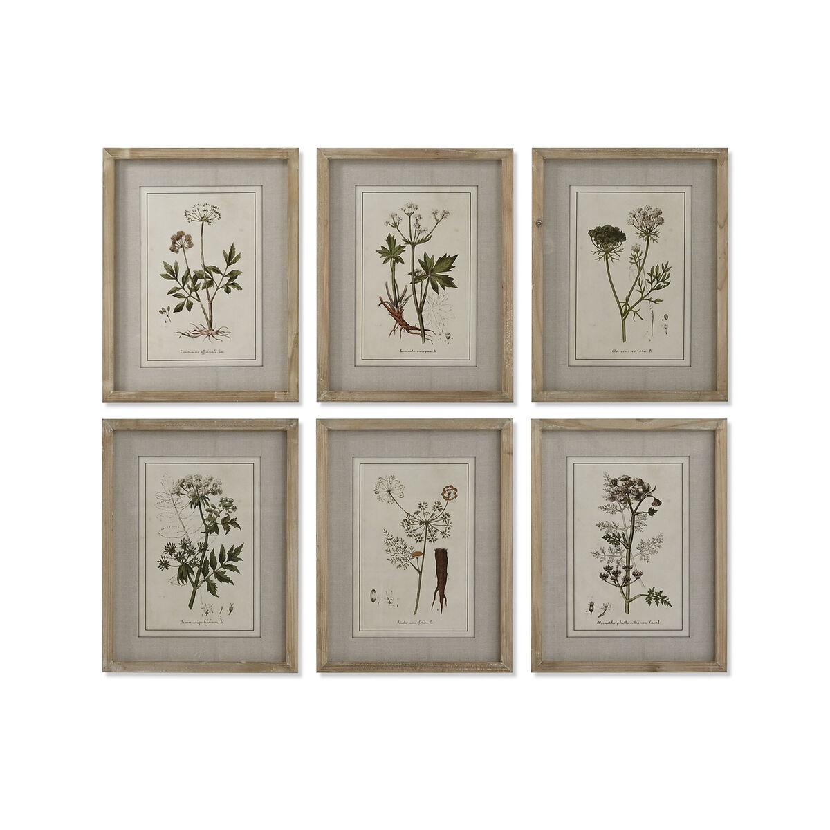 Cuadro Home ESPRIT Shabby Chic Plantas botánicas 30 x 2 x 40 cm (6 Unidades)
