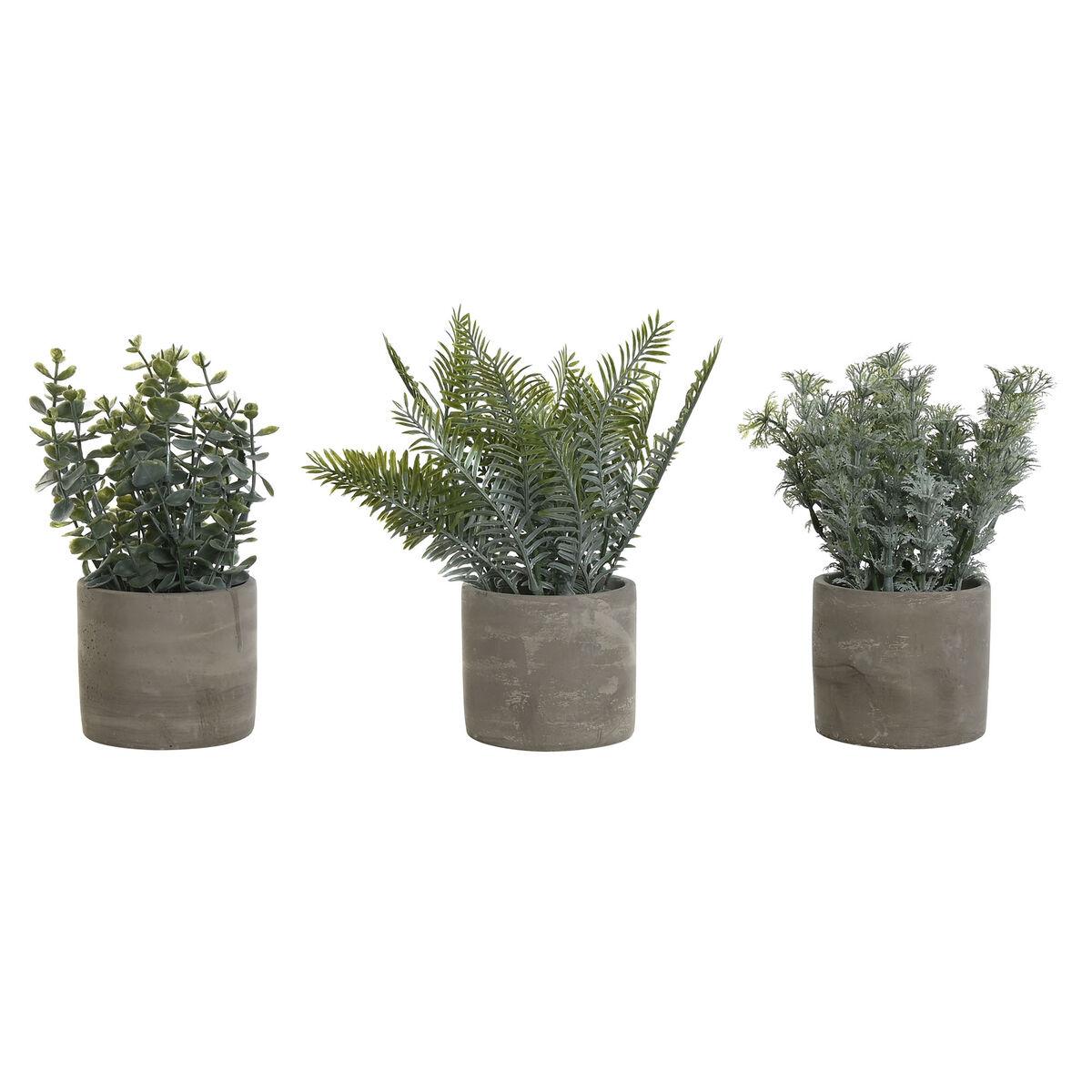 Planta Decorativa Home ESPRIT Polietileno Cemento 13 x 13 x 24 cm (3 Unidades)