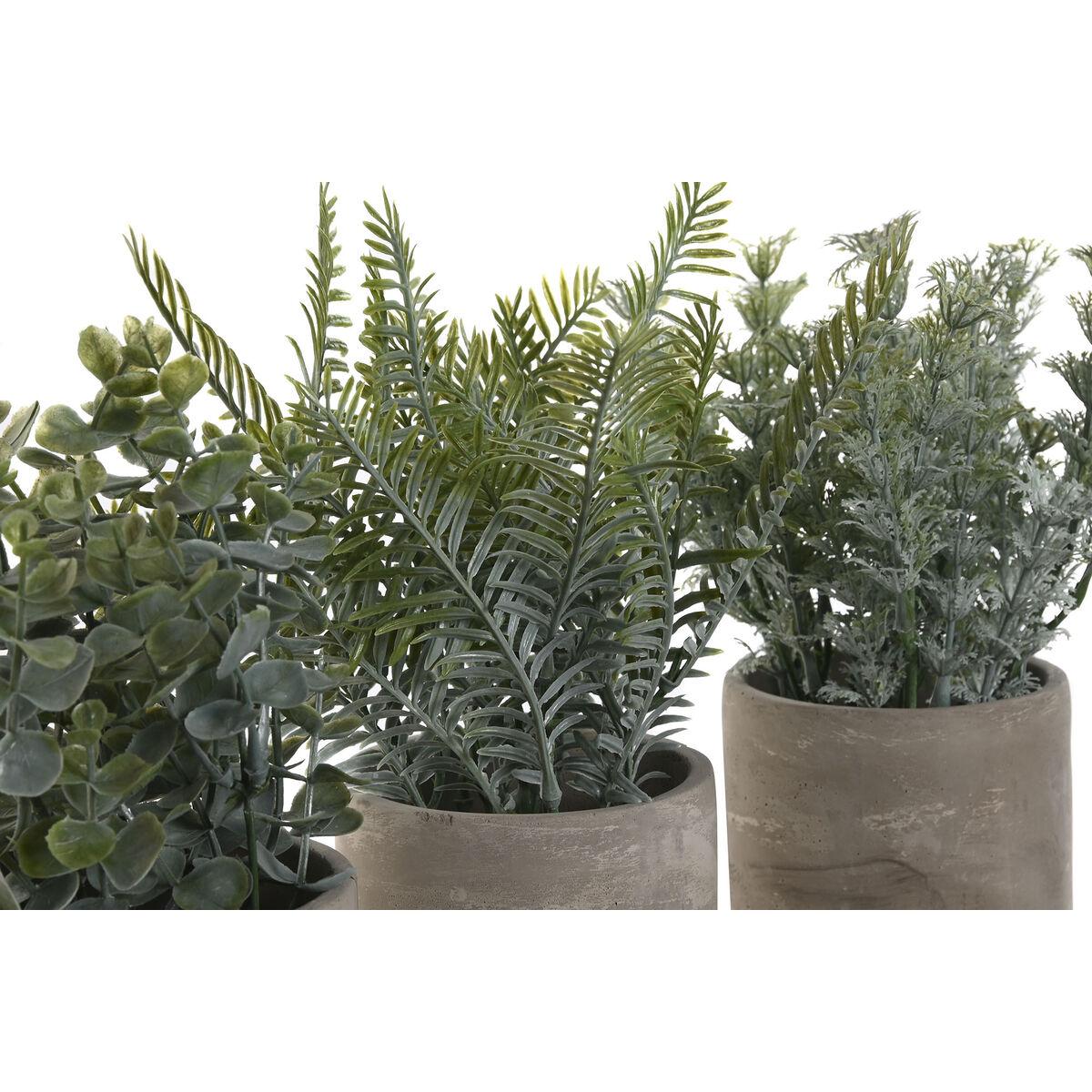 Planta Decorativa Home ESPRIT Polietileno Cemento 13 x 13 x 24 cm (3 Unidades)