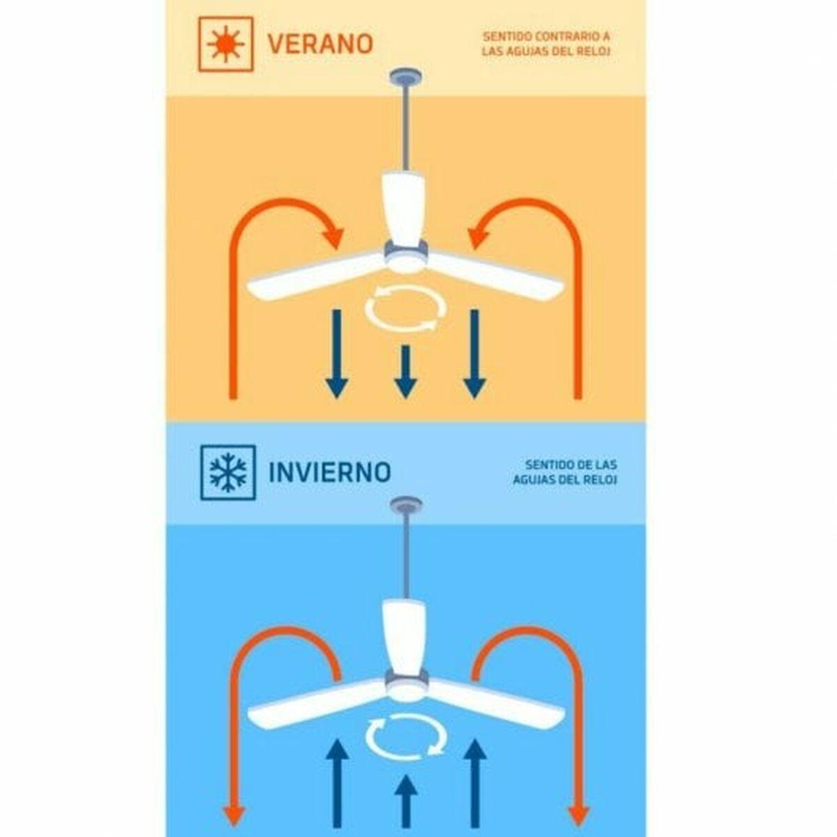 Ventilador de Techo con Luz Orbegozo CP 116116 40 W Negro
