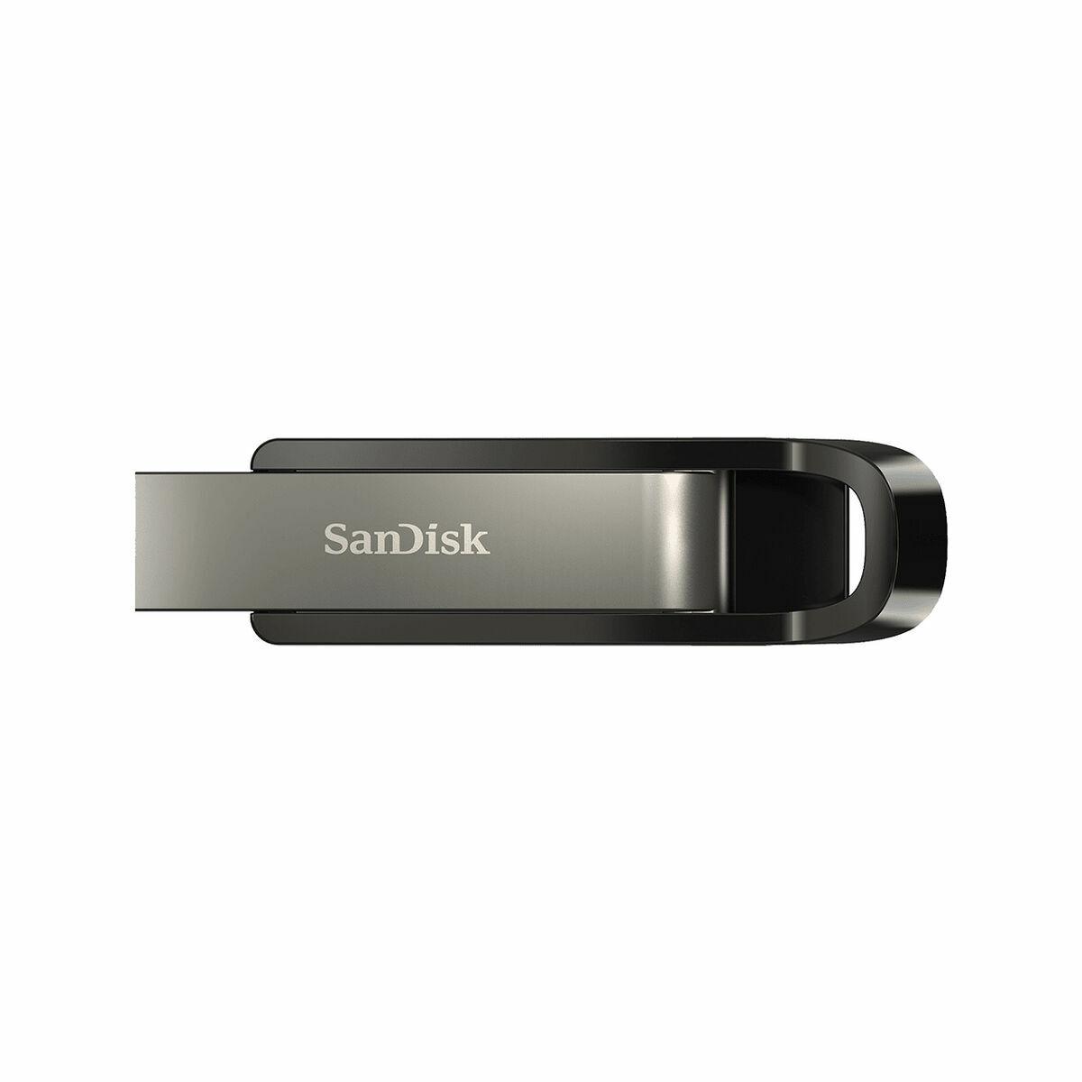 Pendrive   SanDisk Extreme Go         Acero 256 GB (1 unidad)