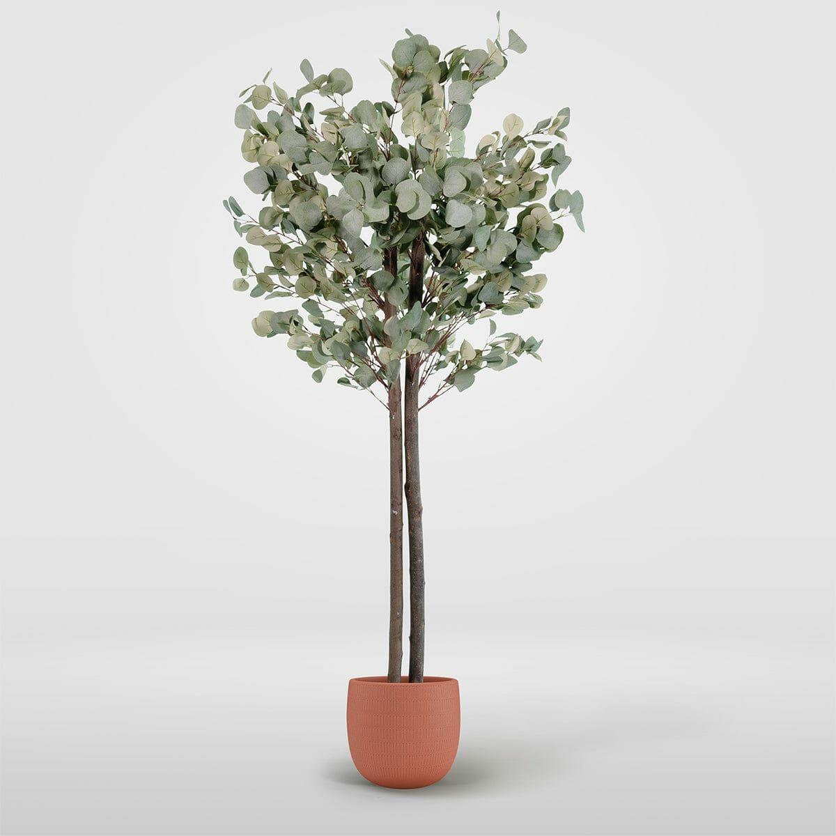 Árbol Home ESPRIT Poliéster Madera Cemento Eucalipto 90 x 90 x 180 cm
