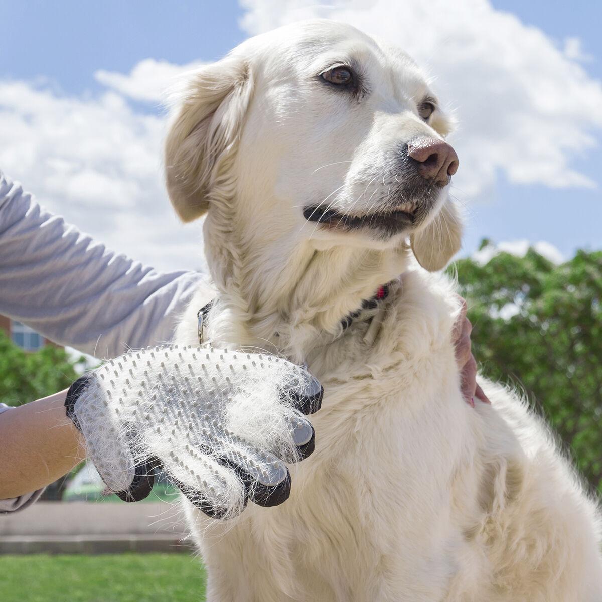Guante para Cepillar y Masajear Mascotas Relpet InnovaGoods Silicona (Reacondicionado A)