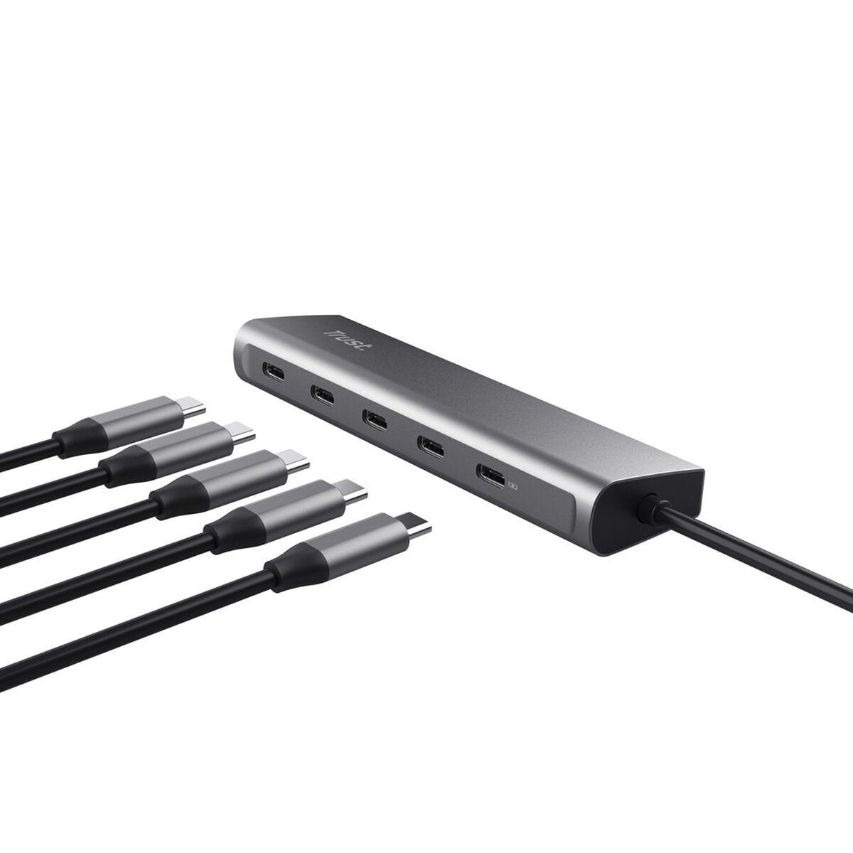 Hub USB Trust 25136 100 W Plateado (1 unidad)