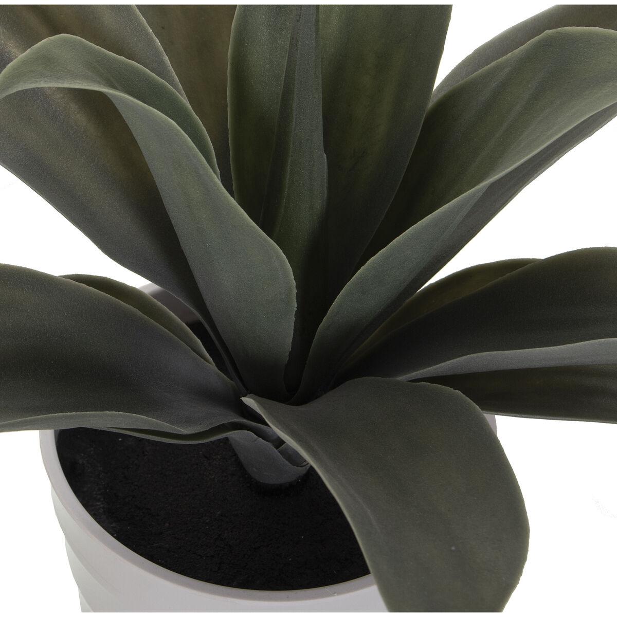 Planta Decorativa Alexandra House Living Plástico Aloe Vera 16 x 16 x 30 cm