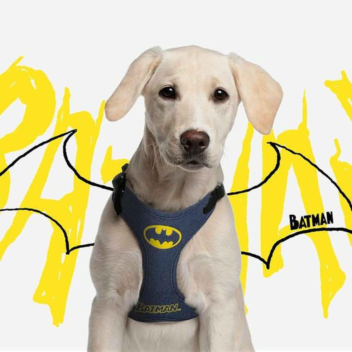 Arnés para Perro Batman Azul