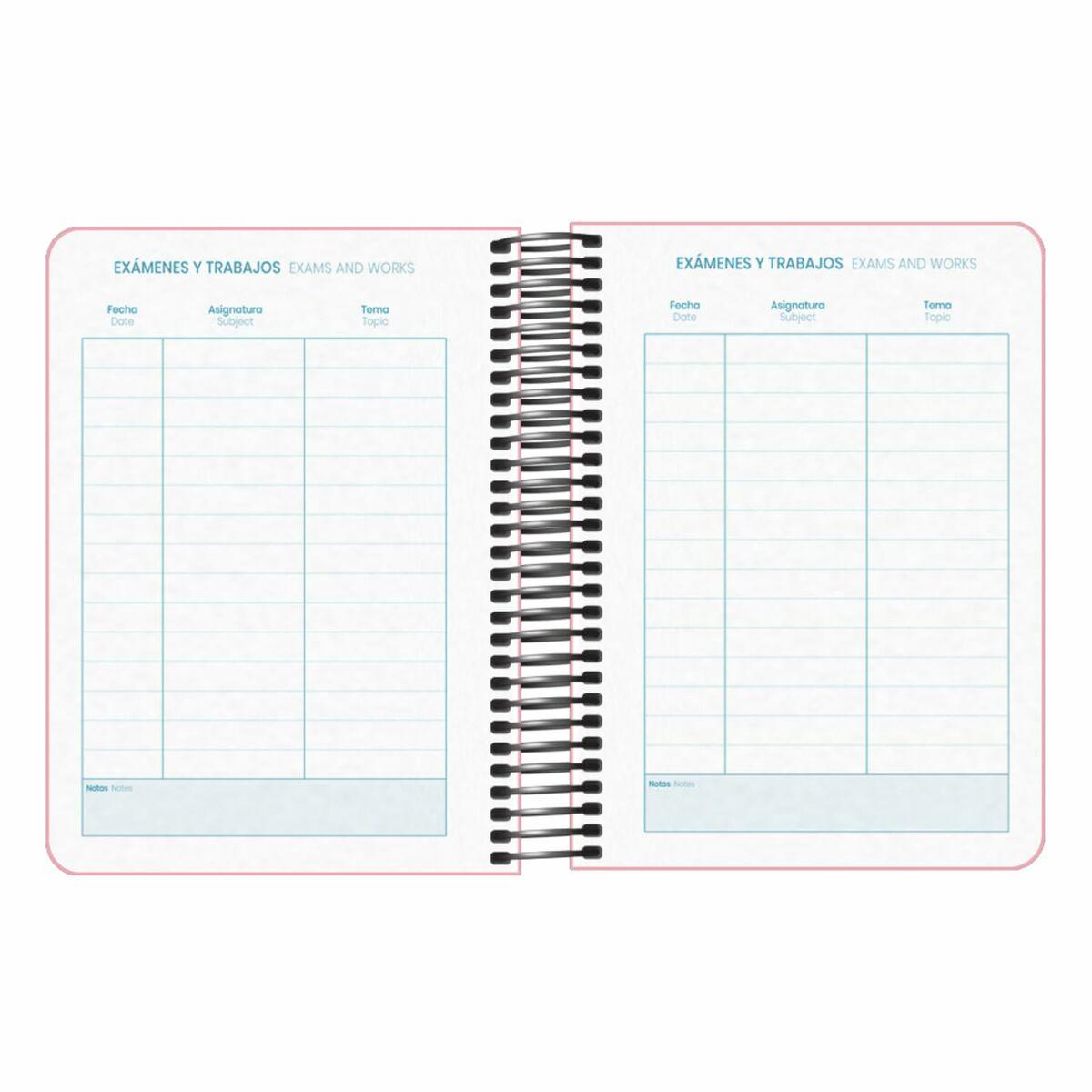 Agenda DOHE DP MEMORY BASIC Rosa A6 12 x 17 cm 2024-2025