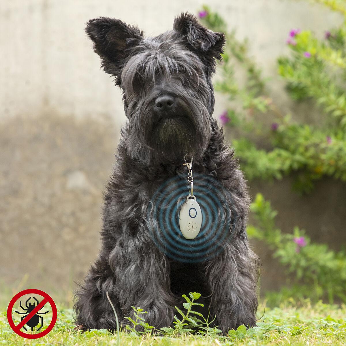 Antiparásitos por Ultrasonidos Recargable para Mascotas PetRep InnovaGoods (Reacondicionado A)