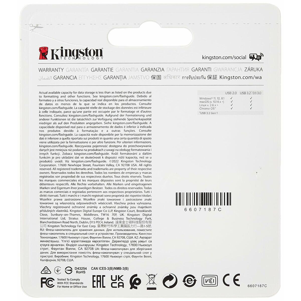 Memoria USB Kingston Technology Plateado 256 GB