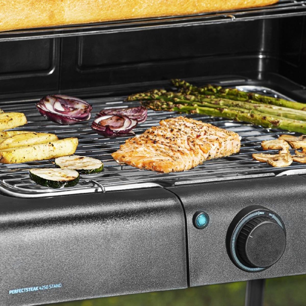 Cecotec Barbacoas eléctricas Barbacoa Perfectsteak 4250 Stand