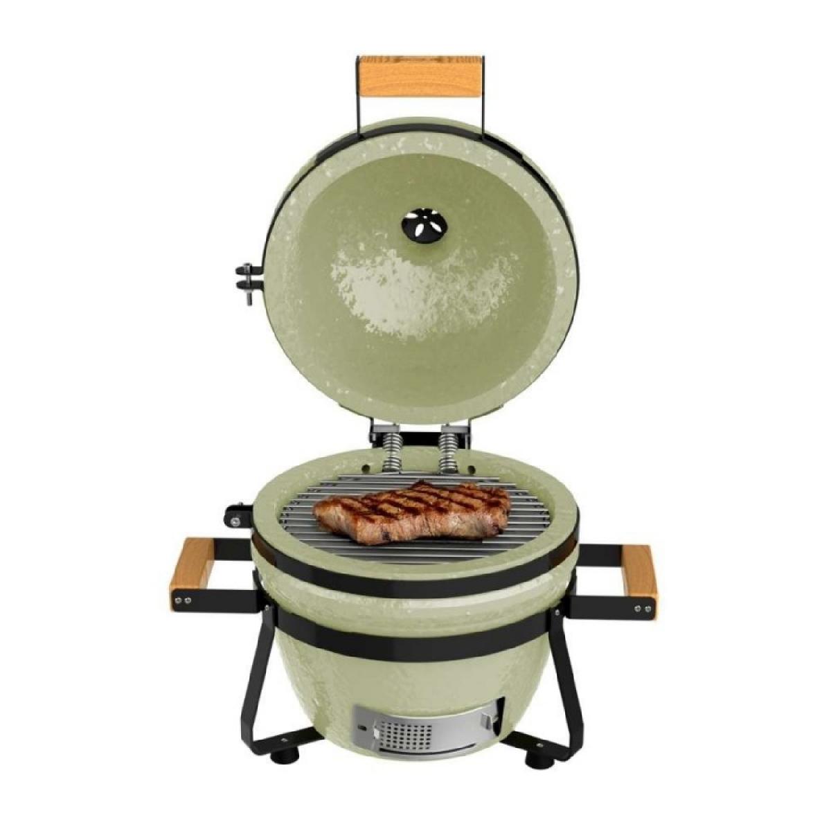 Cecotec Barbacoas Barbacoa dragonfire 3200