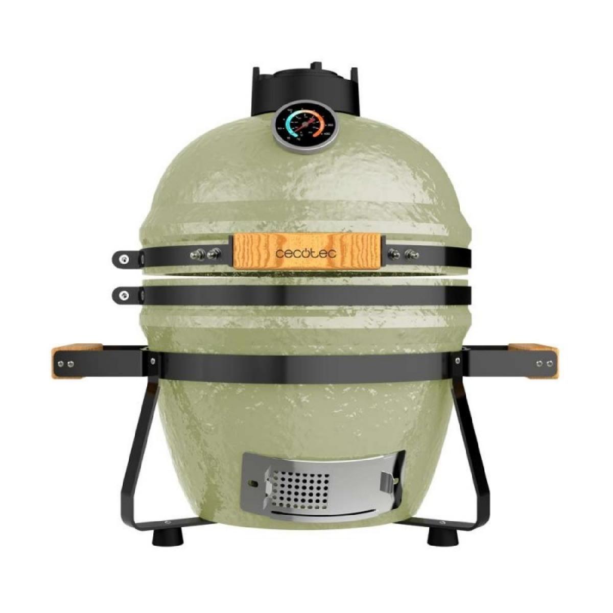 Cecotec Barbacoas Barbacoa dragonfire 3200