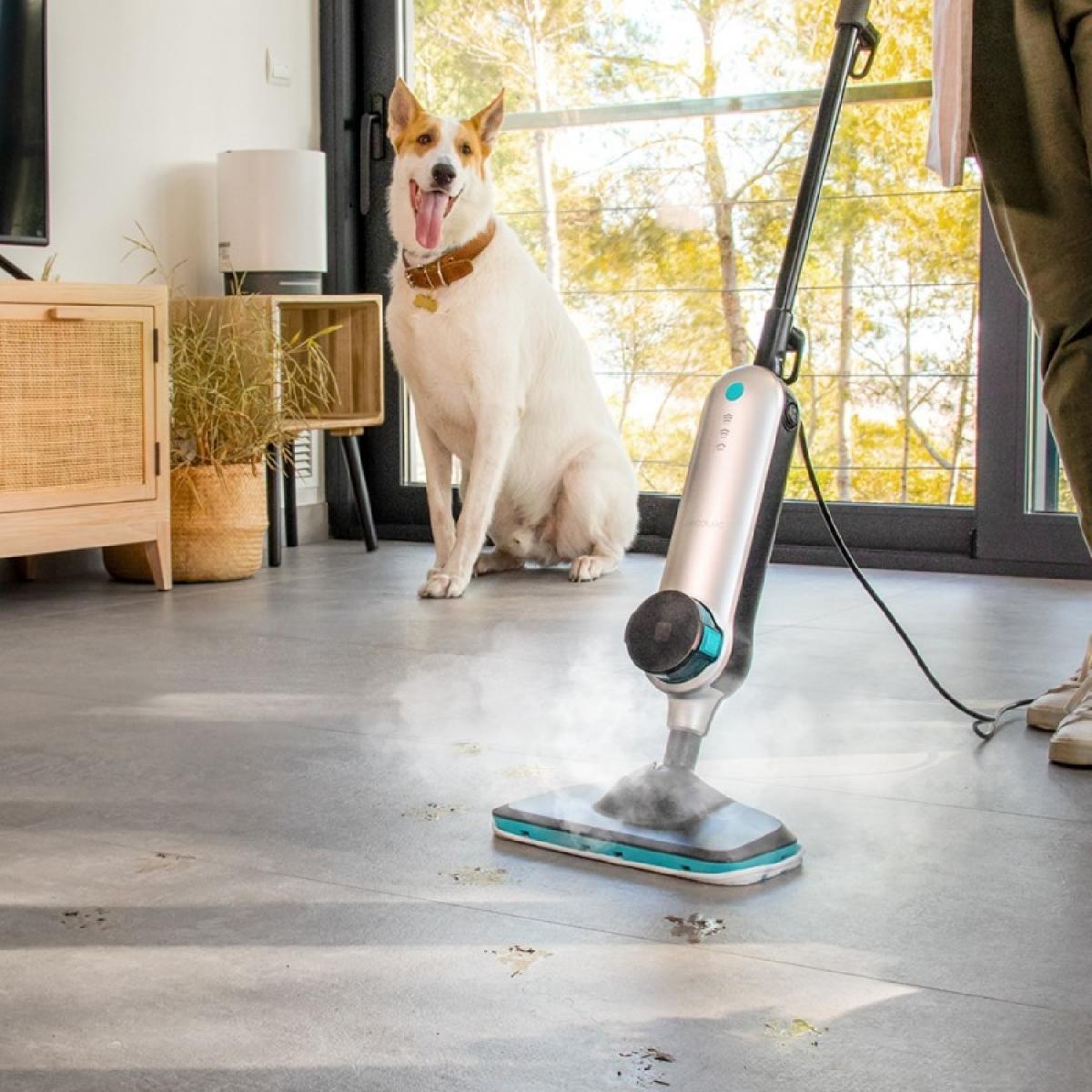 Cecotec Vaporetas verticales Hydrosteam 3030 Active